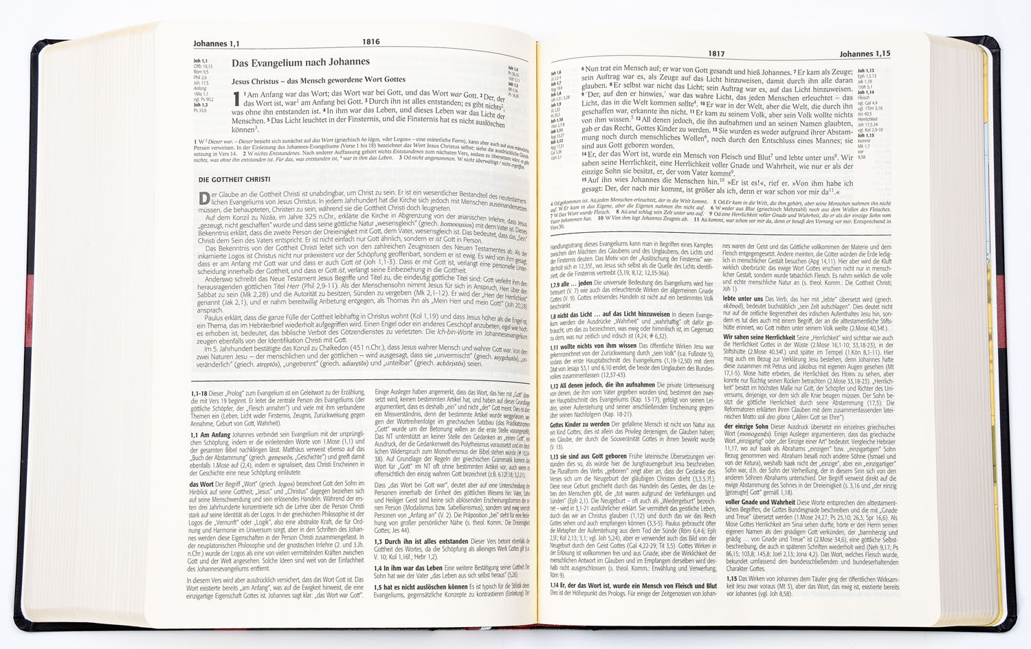 Reformations-Studien-Bibel - Rindspaltleder dunkelblau