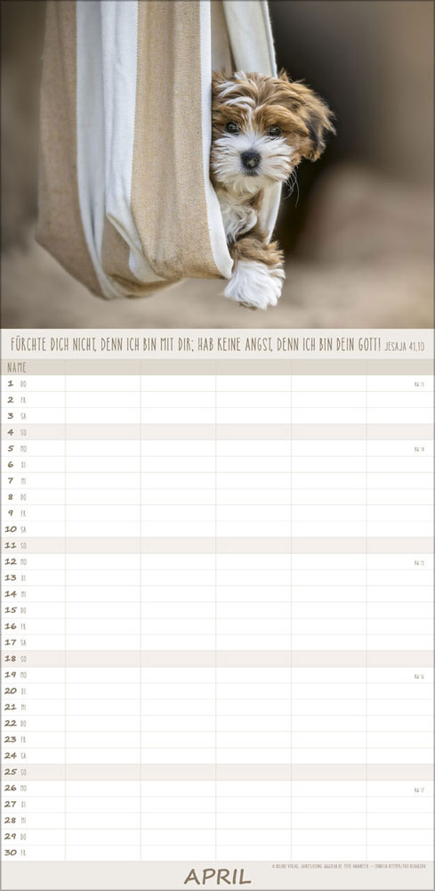 Familienplaner Hunde - 2027