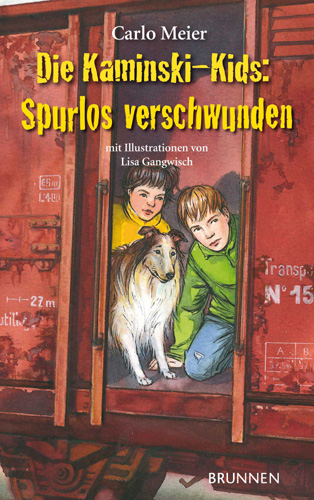 Spurlos verschwunden (13) - Taschenbuch