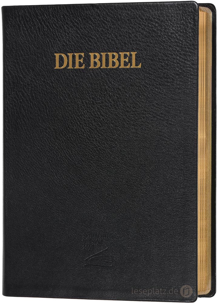 Schlachter 2000 Schreibrandausgabe Kalbsleder / Goldschnitt