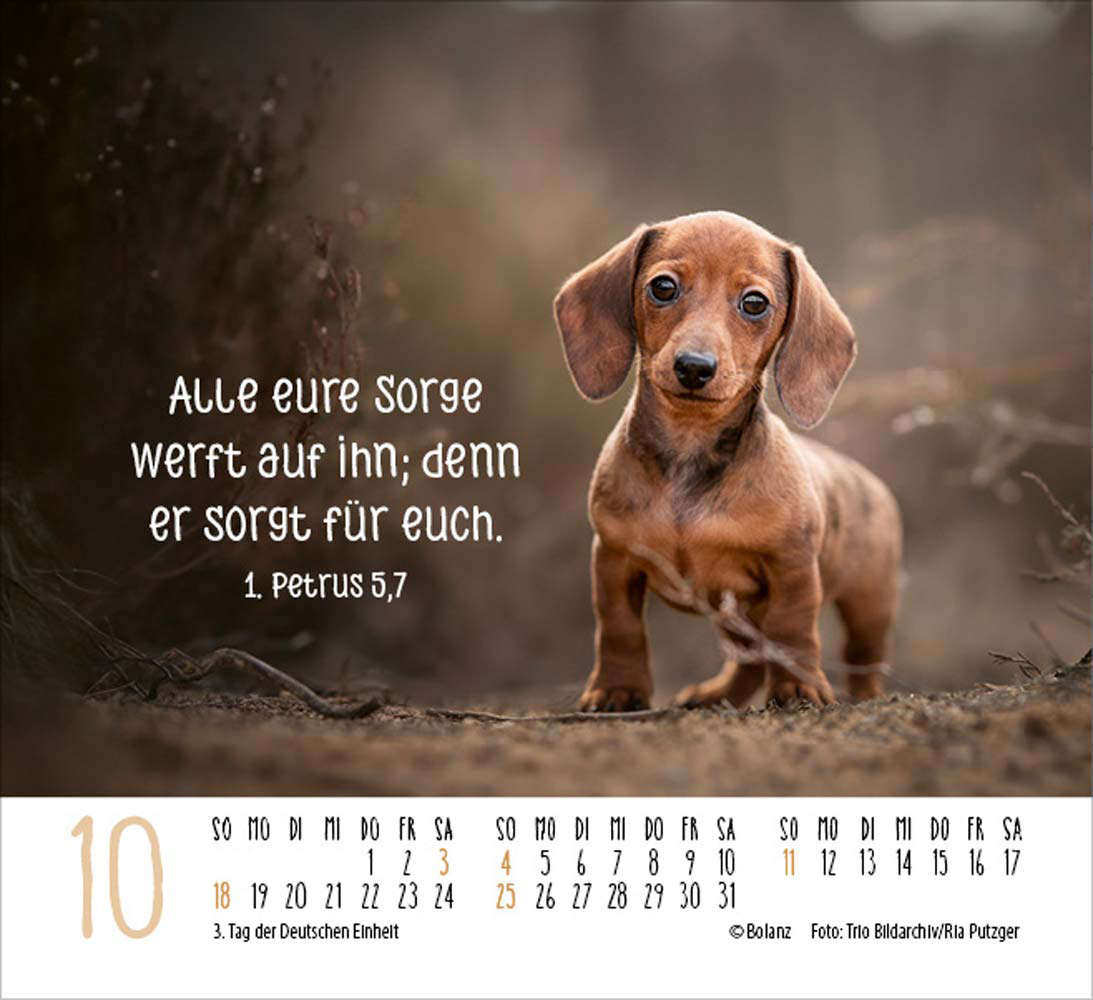 Hunde 2026 - Minikalender Hunde 2026 - Minikalender