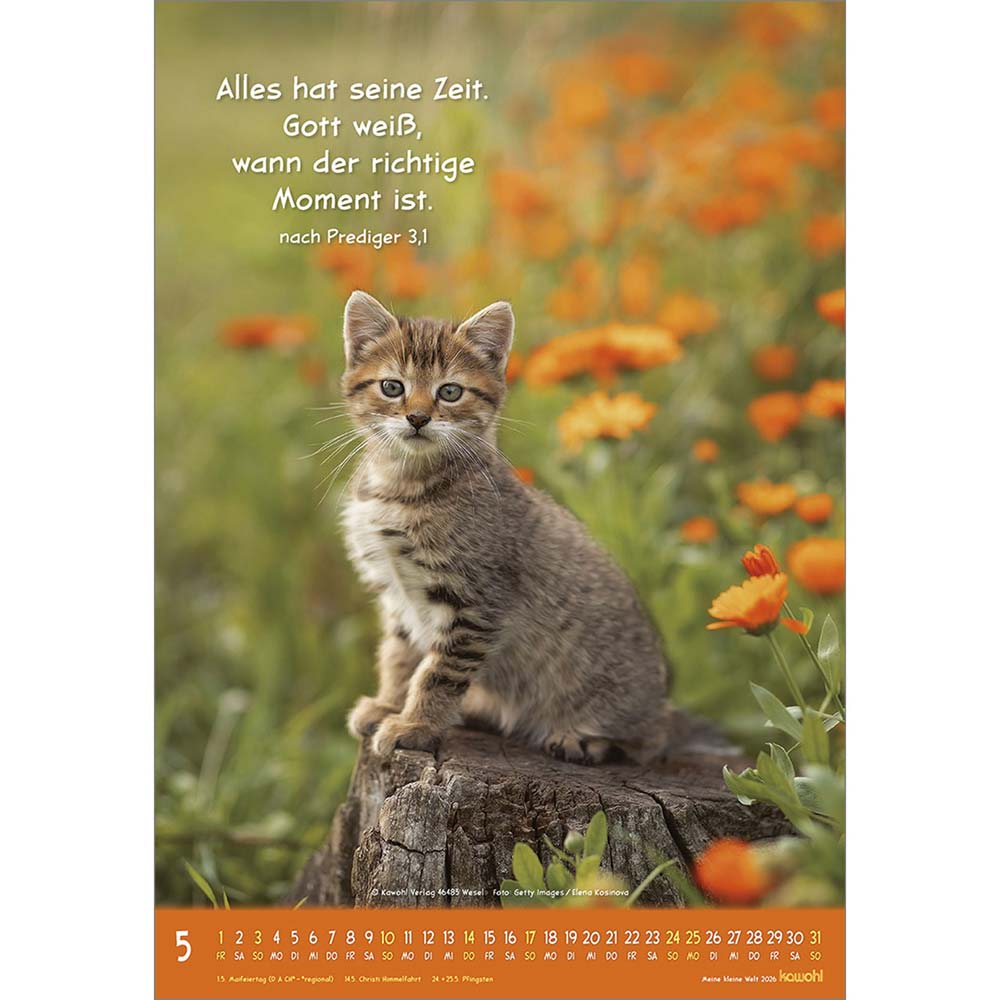 Meine kleine Welt 2026 - Wandkalender