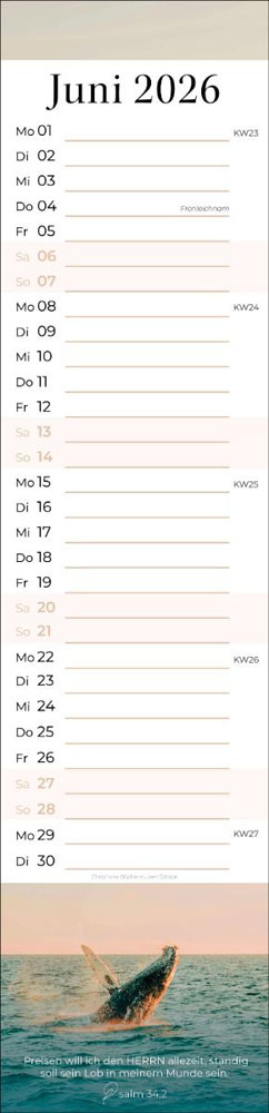 Faszination Wort - Streifenplaner 2026