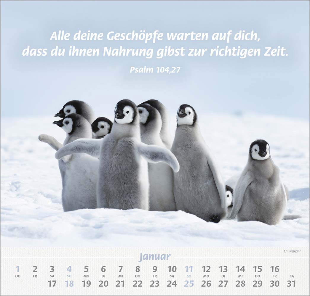 Ich hab dich gern 2026 - Wandkalender