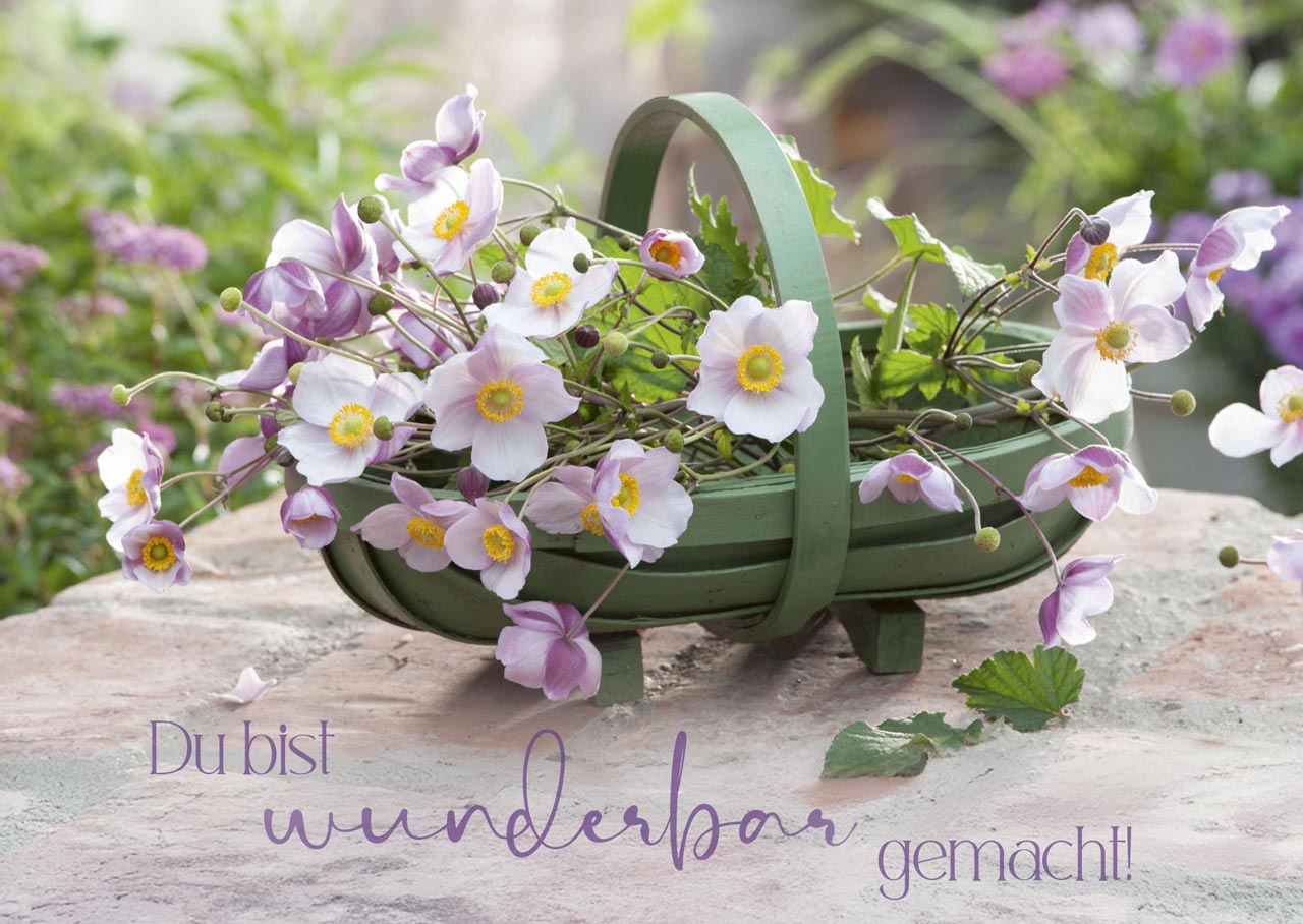 Postkartenbox "Wir feiern im Garten"