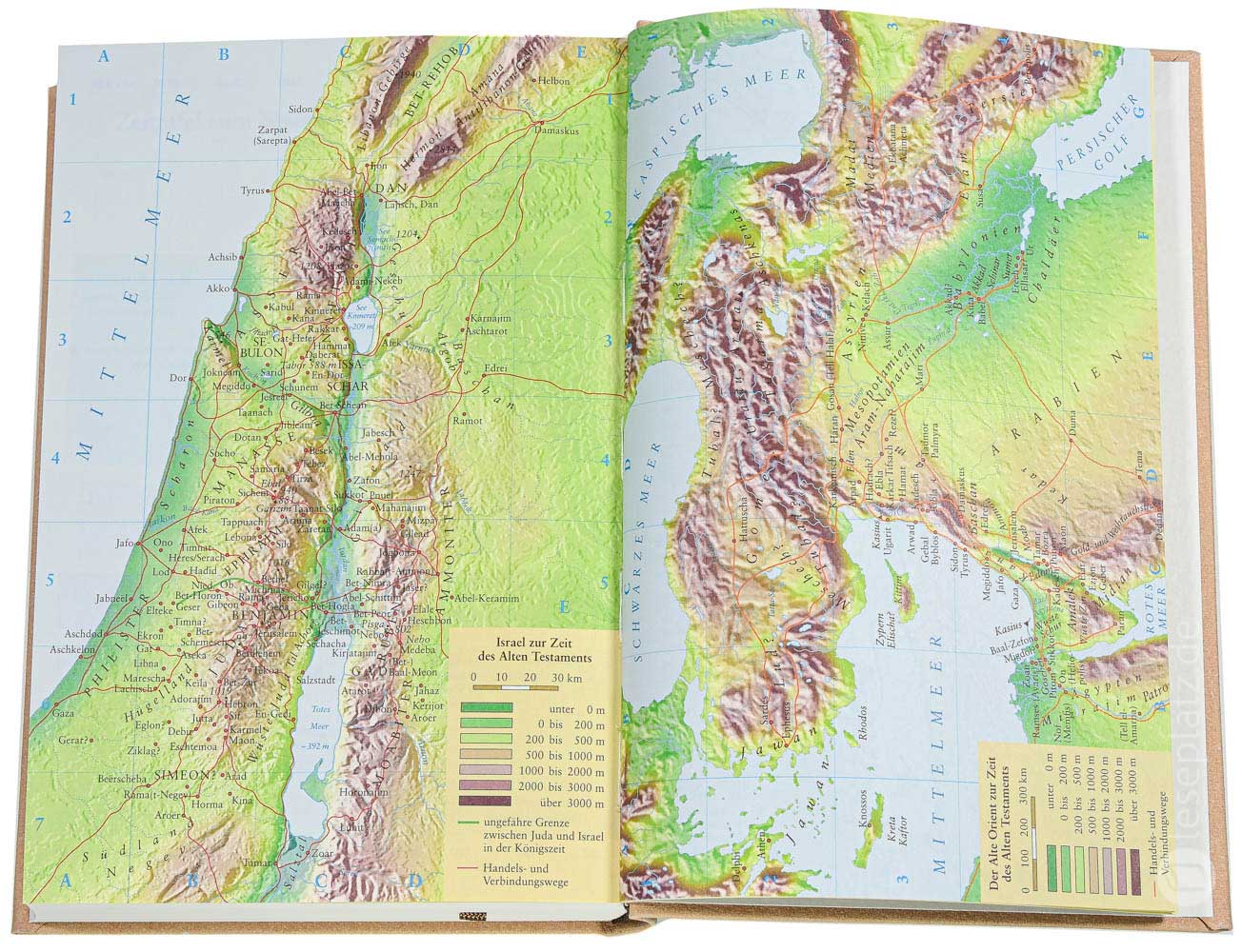 NeÜ - Standardausgabe "Lederhaptik" - beige