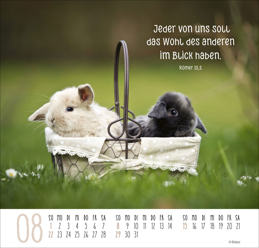 Beste Freunde - Ich mag dich  2027 - Posterkalender