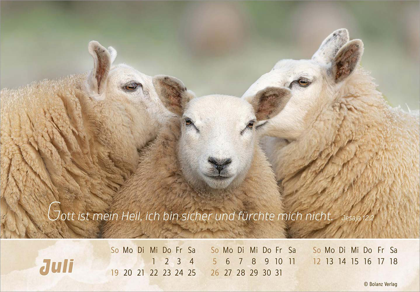 Der Gute Hirte 2026 - Postkartenkalender