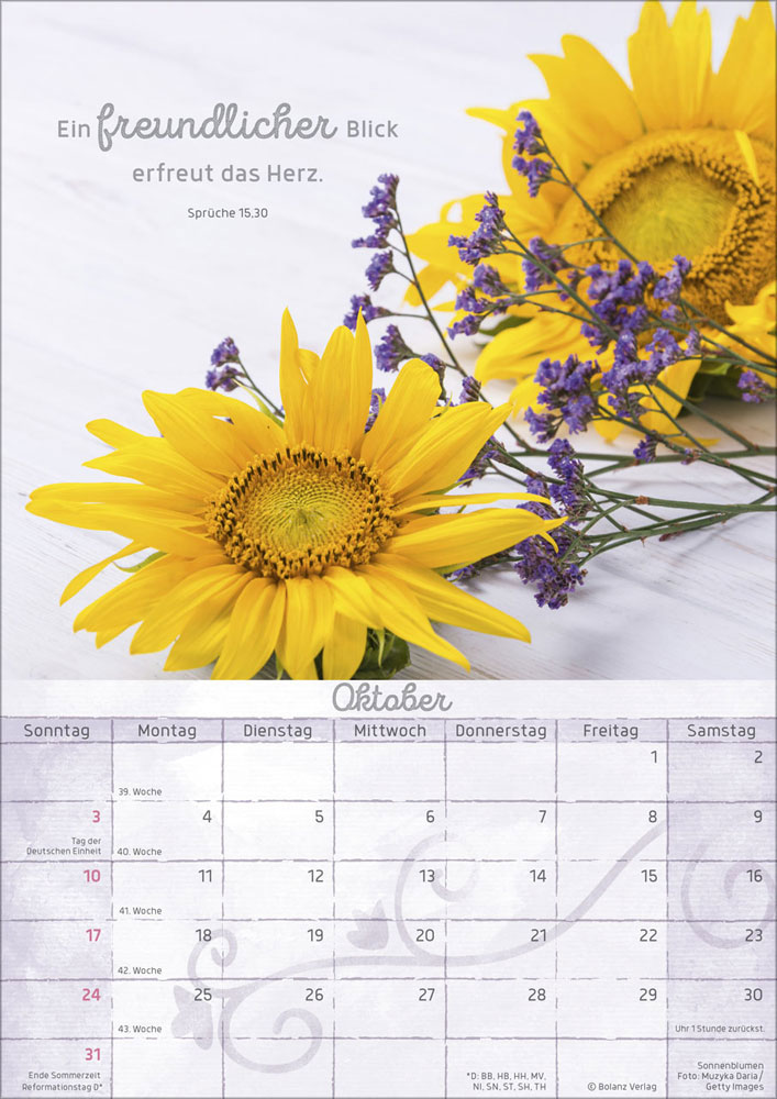 Momente der Freude 2027 - Wandkalender