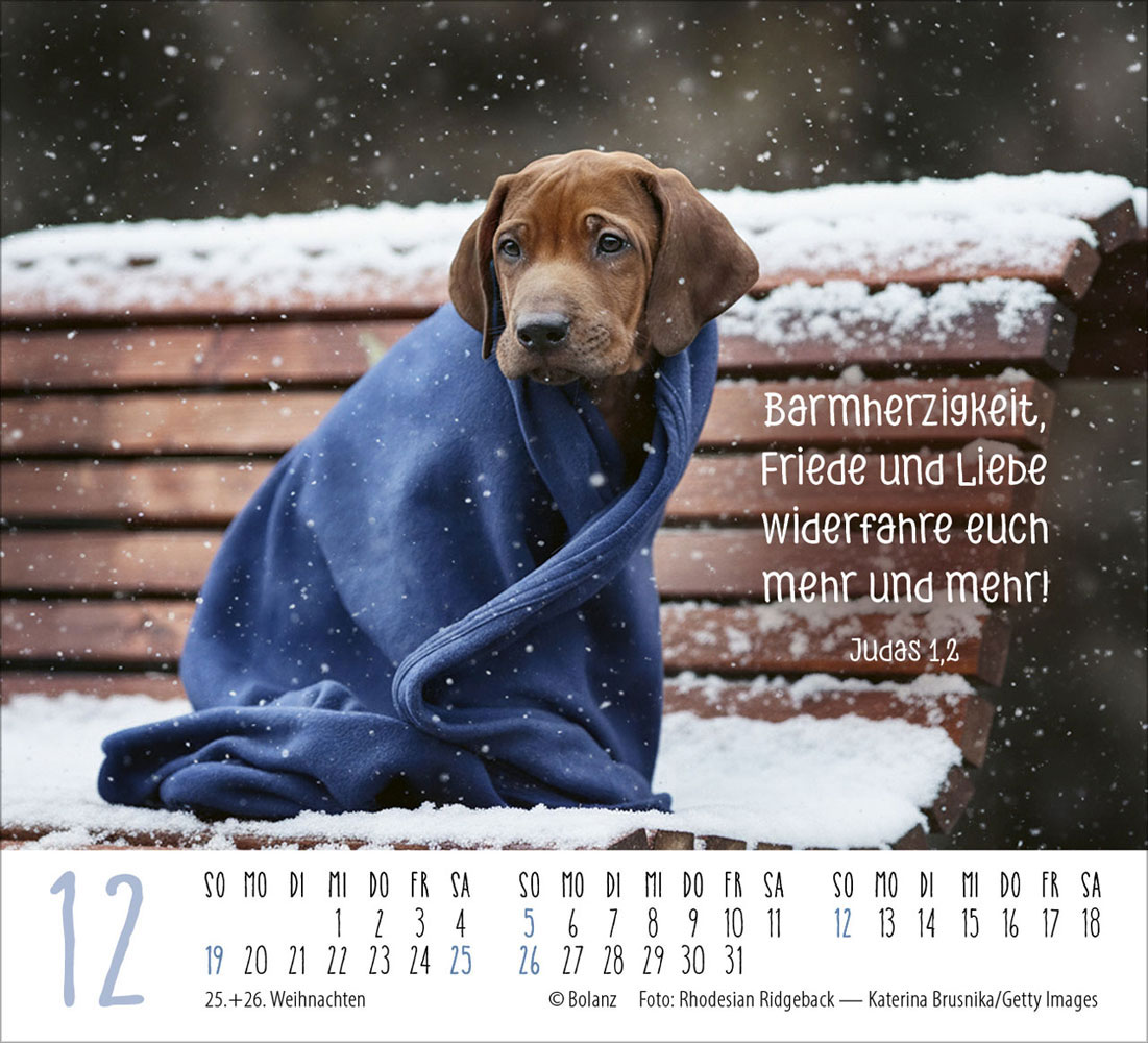 Hunde 2027 - Minikalender