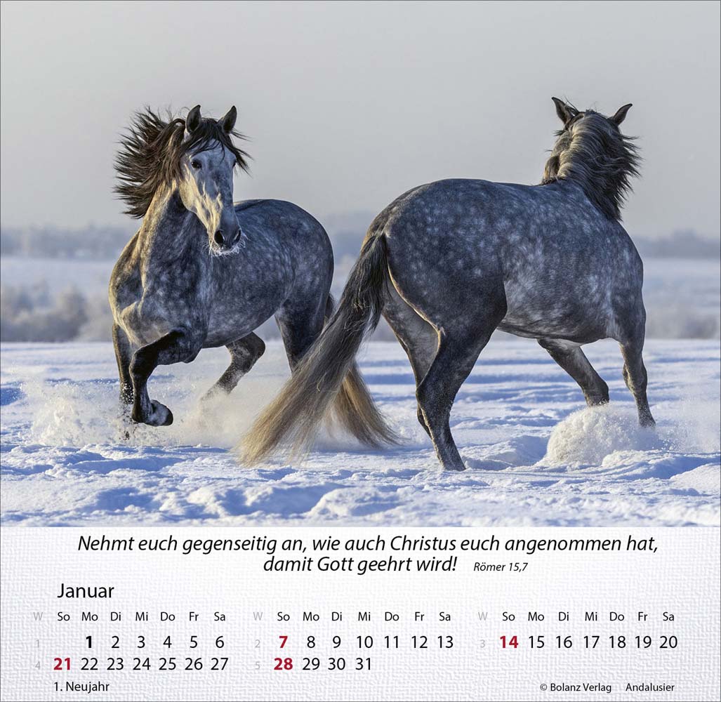 Pferde 2024 - Tischkalender Pferde 2024 - Tischkalender