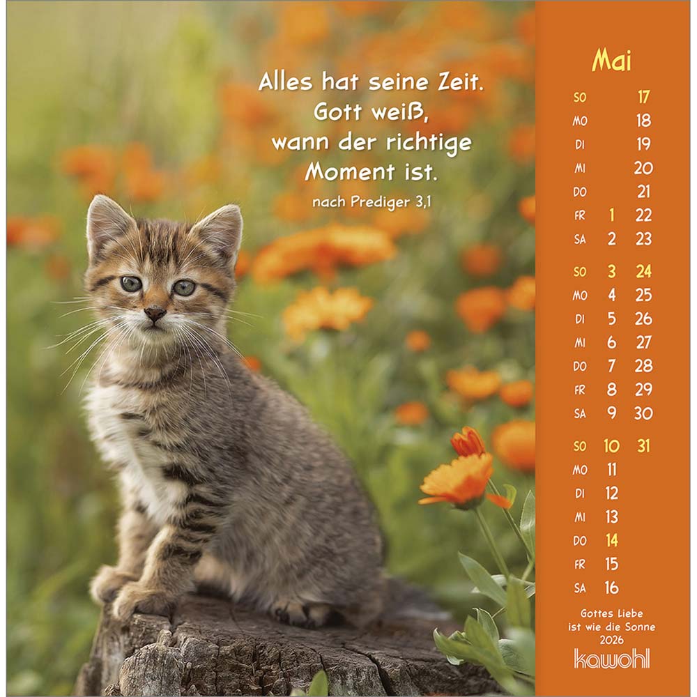 Gottes Liebe ist wie die Sonne 2026 - Postkartenkalender