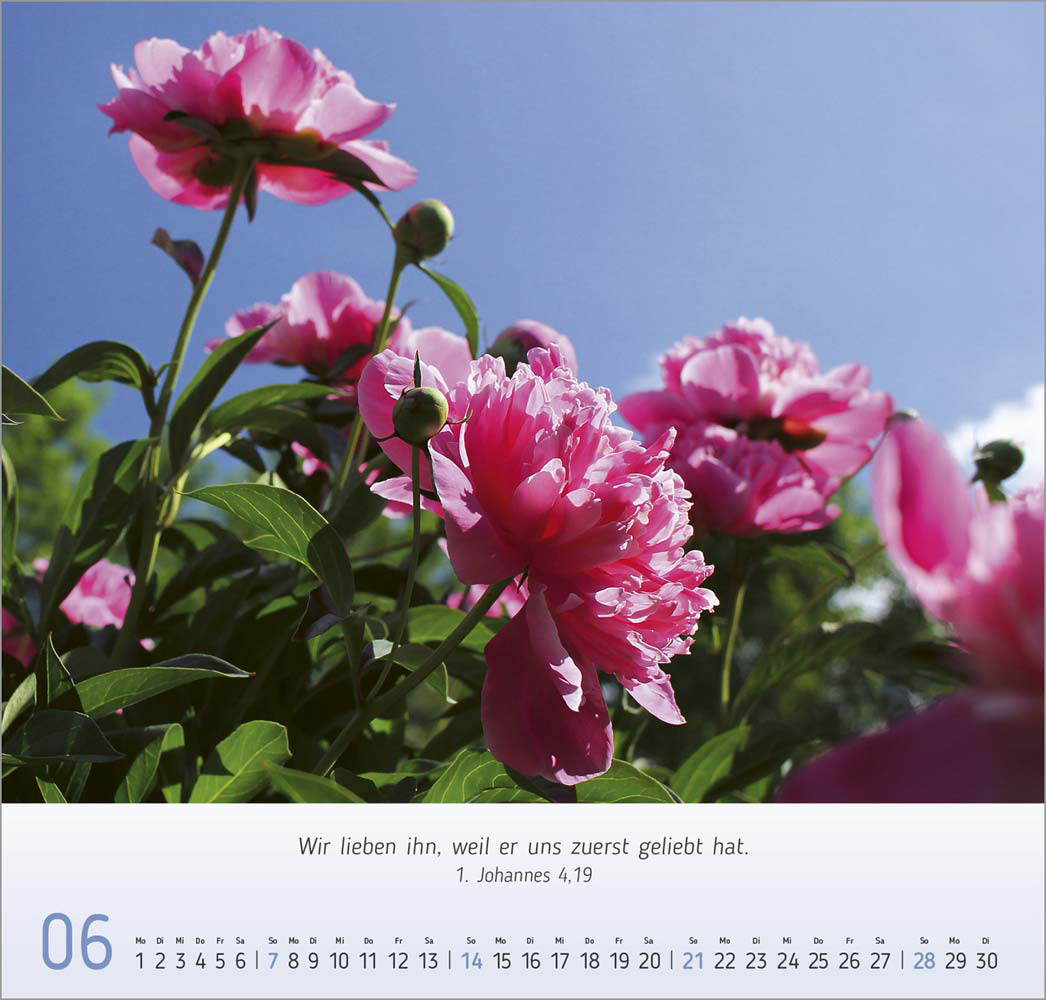 Impressionen Blumen 2026