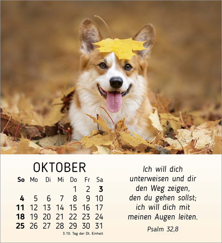 Meine kleinen Freunde 2026