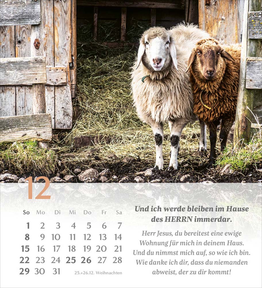 Psalm 23 - Tischkalender 2024 Psalm 23 - Tischkalender 2024