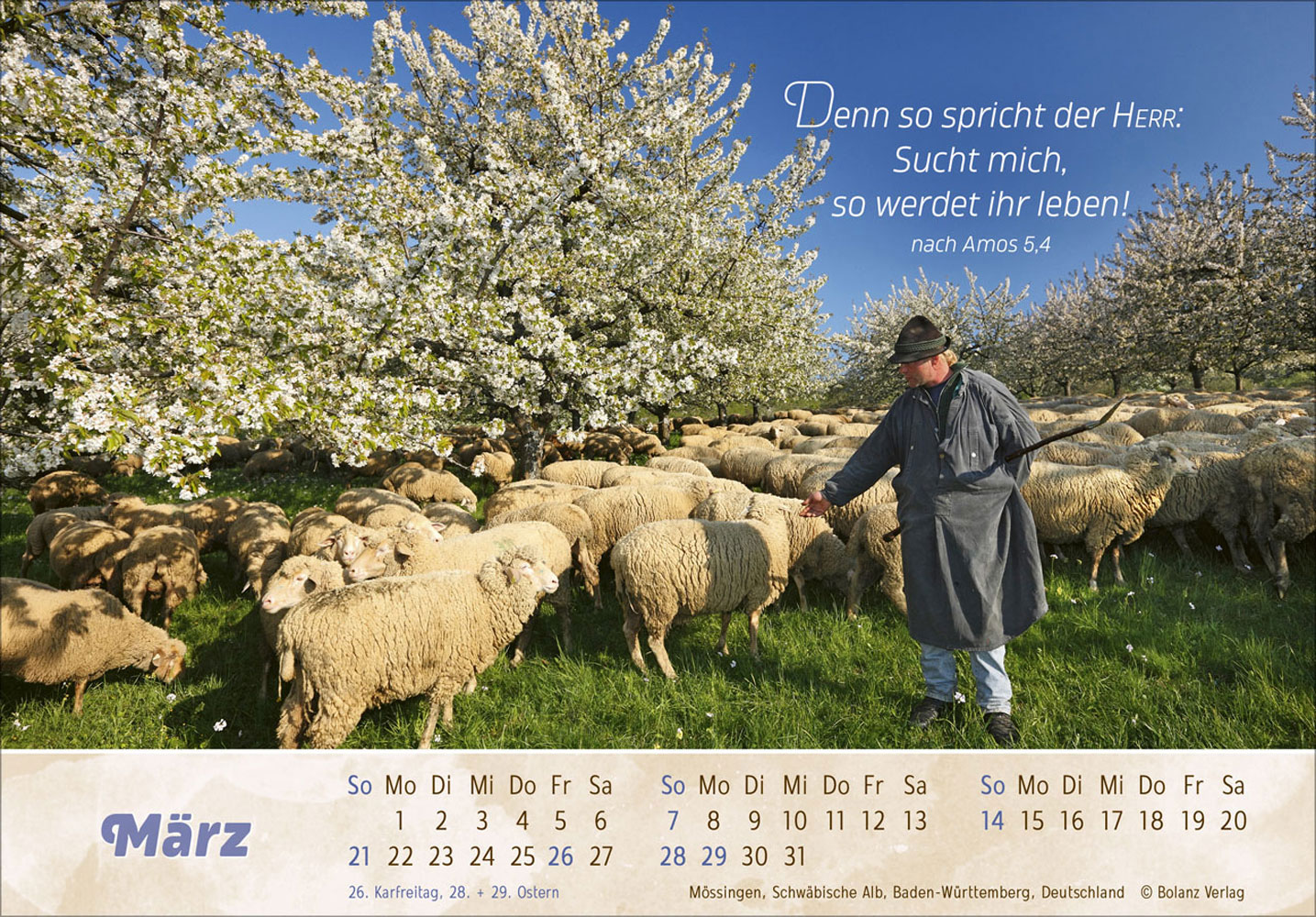 Der Gute Hirte 2027 - Postkartenkalender