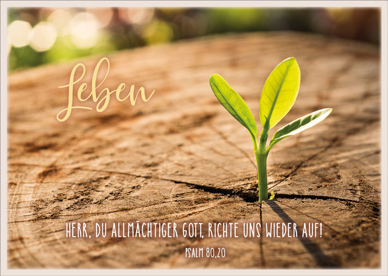 179731876 Postkarte "Leben Spross"
