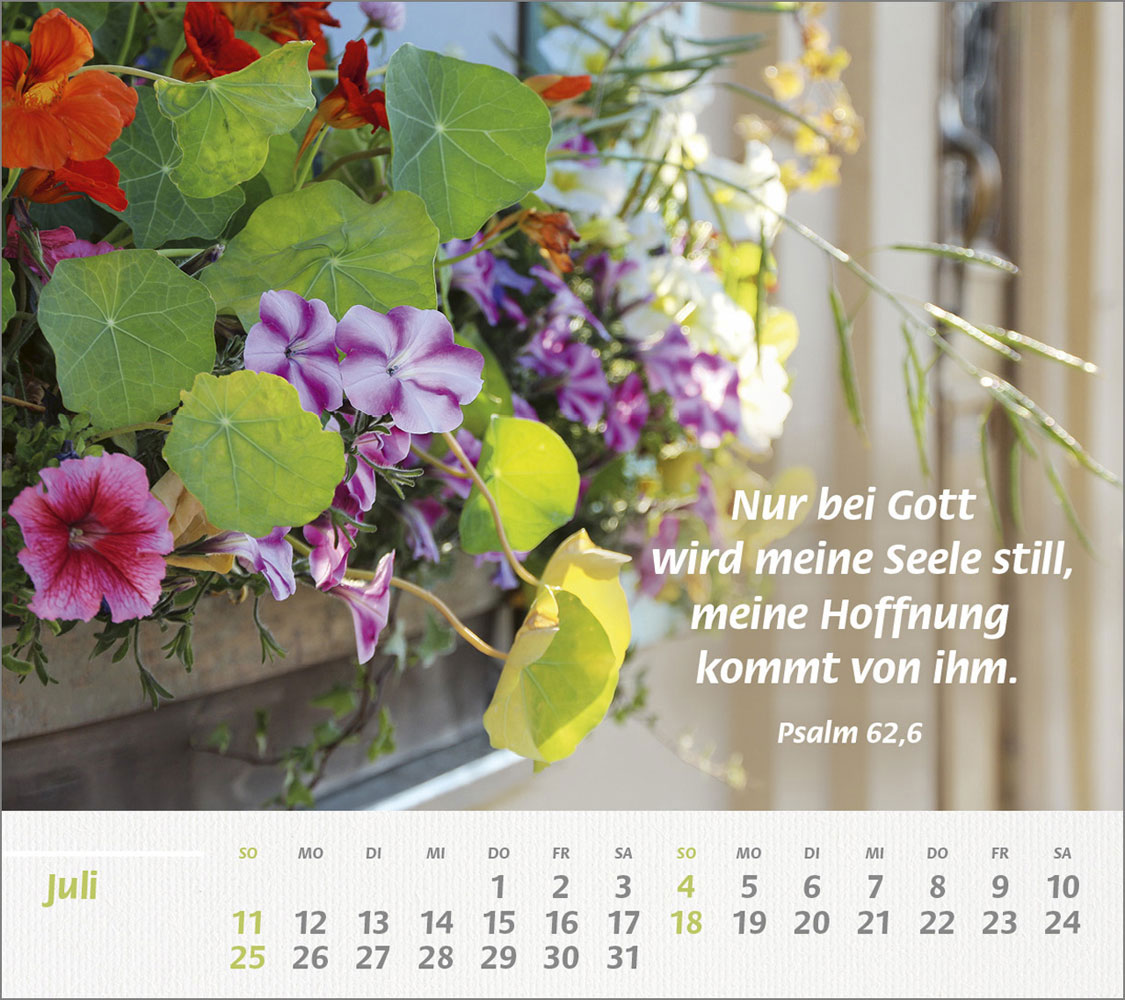 Du bist meine Stärke 2027