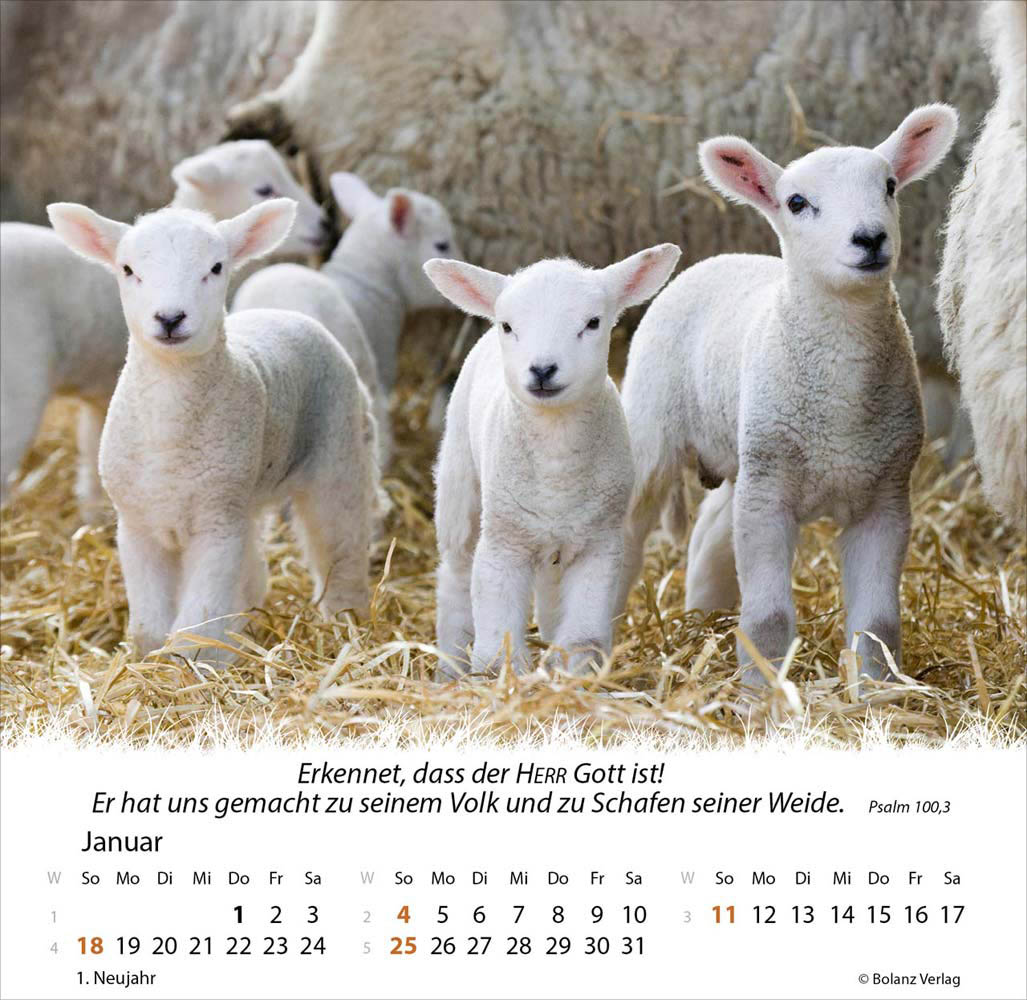 Ein Leben für die Schafe 2026 - Verteilkalender
