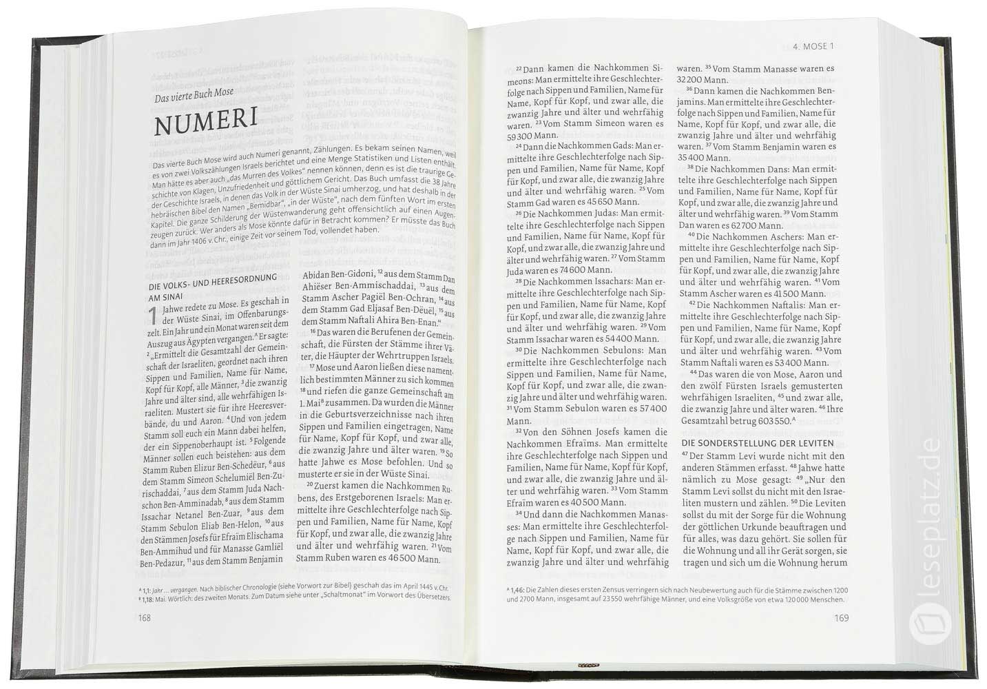 NeÜ - Standardausgabe "Motiv Berg"