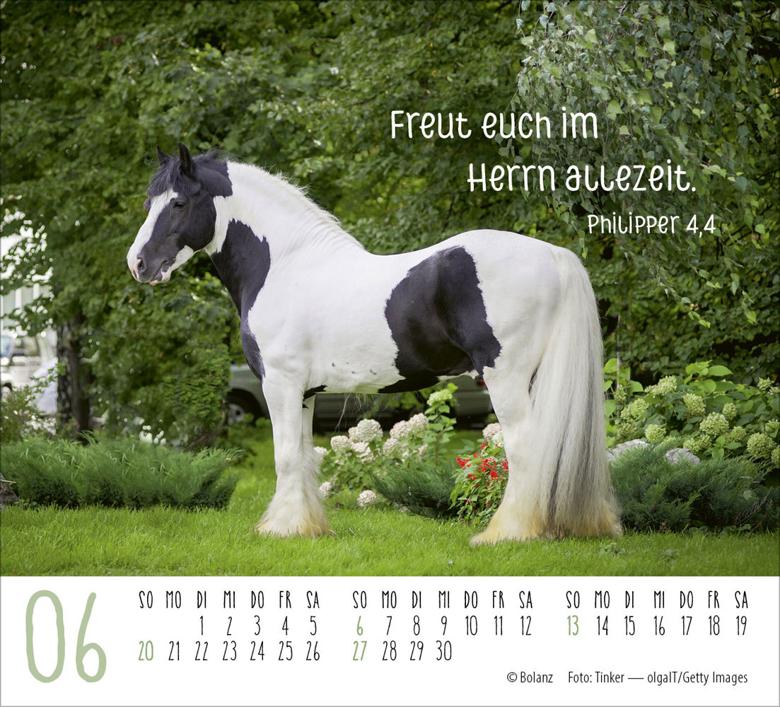 Pferde 2027 - Minikalender