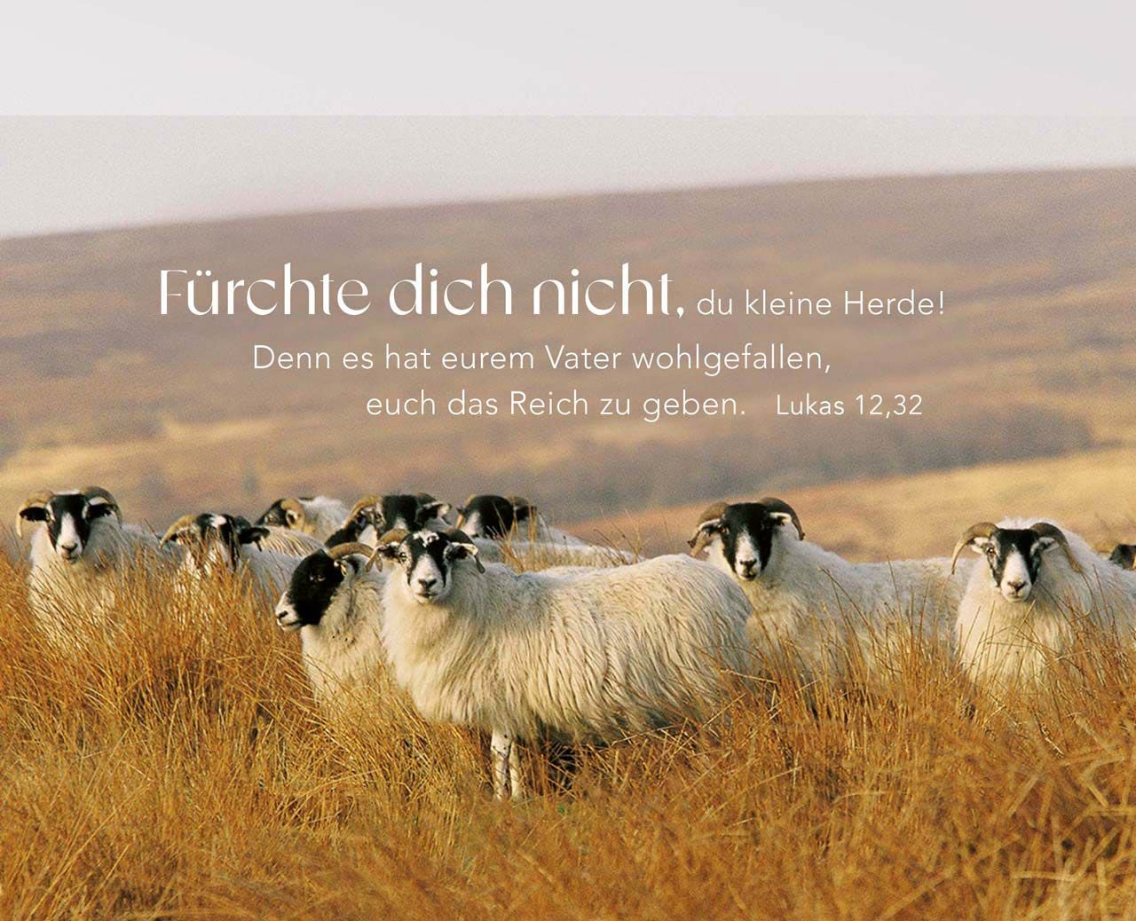 Ich bin bei Dir - Aufstellbuch