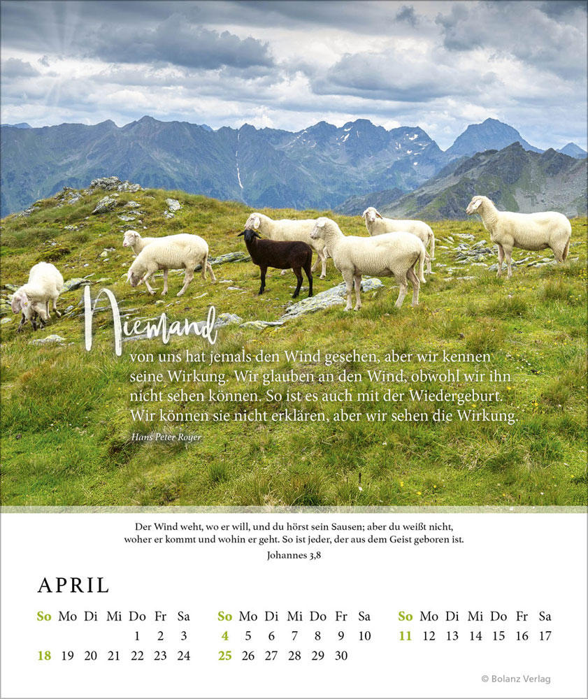 Fels meiner Stärke 2027 - Tischkalender