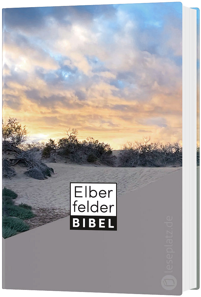 Elberfelder Bibel 2006 Taschenausgabe - Motiv Dünen