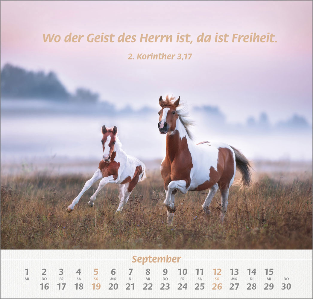Ich hab dich gern 2027 - Wandkalender