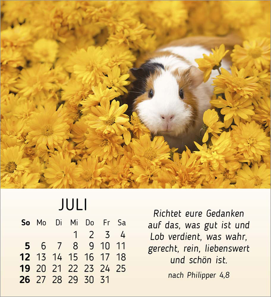 Meine kleinen Freunde 2026