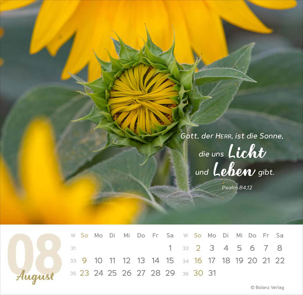 Meine Zeit 2026 - Verteilkalender