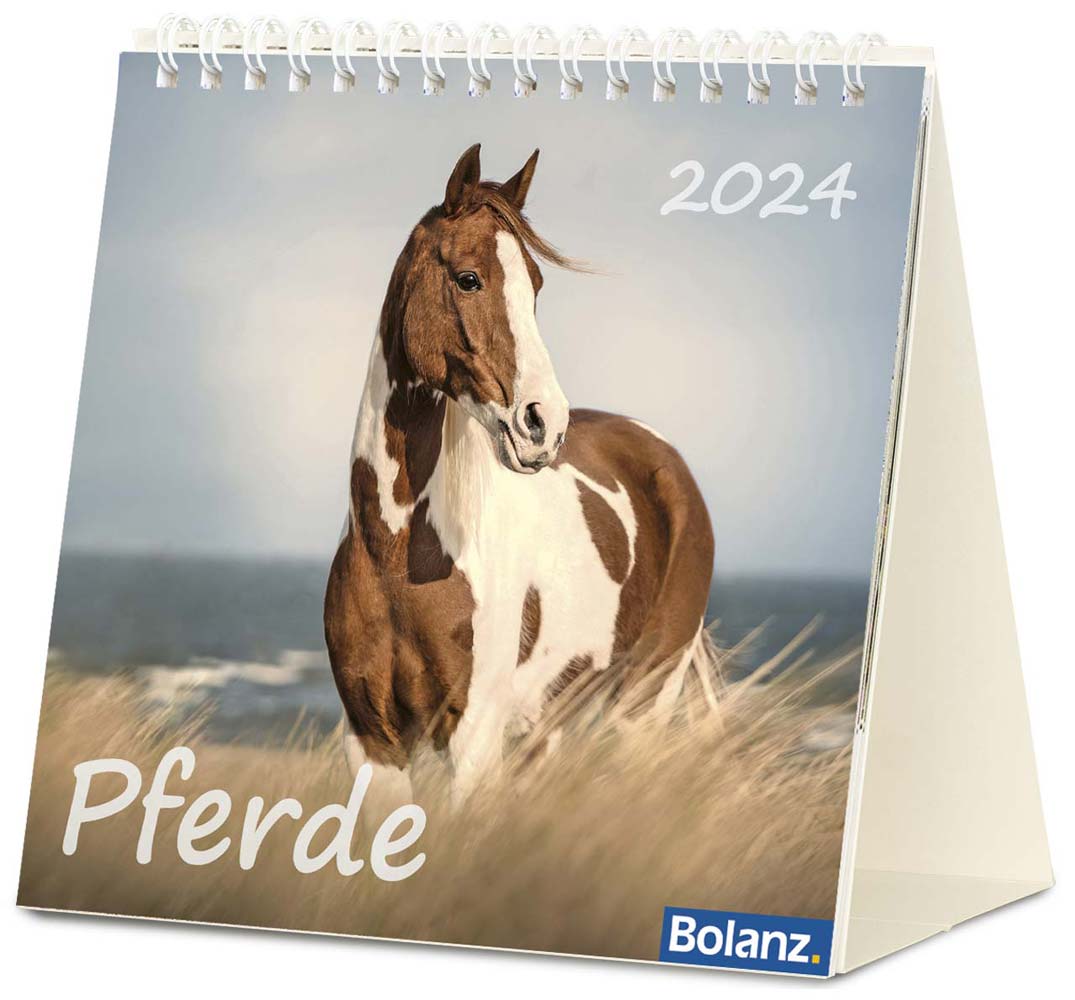 Pferde 2024 - Tischkalender Pferde 2024 - Tischkalender