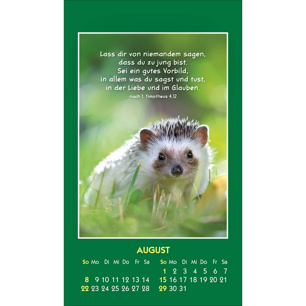 Hallo Du 2027 - Aufkleber-Kalender