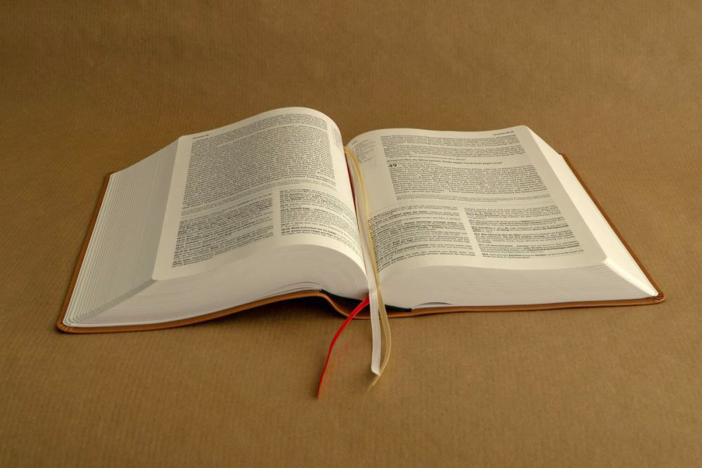 Elberfelder Bibel 2006 Studienausgabe - Kunstleder braun