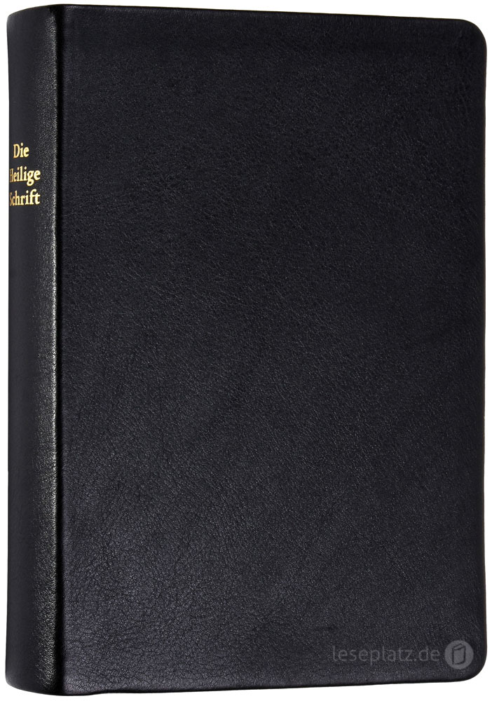 257135_02 Elberfelder 2003 - kl.Schreibrandausgabe / Rindleder Goldschnitt