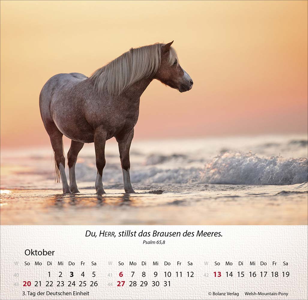 Pferde 2024 - Tischkalender Pferde 2024 - Tischkalender