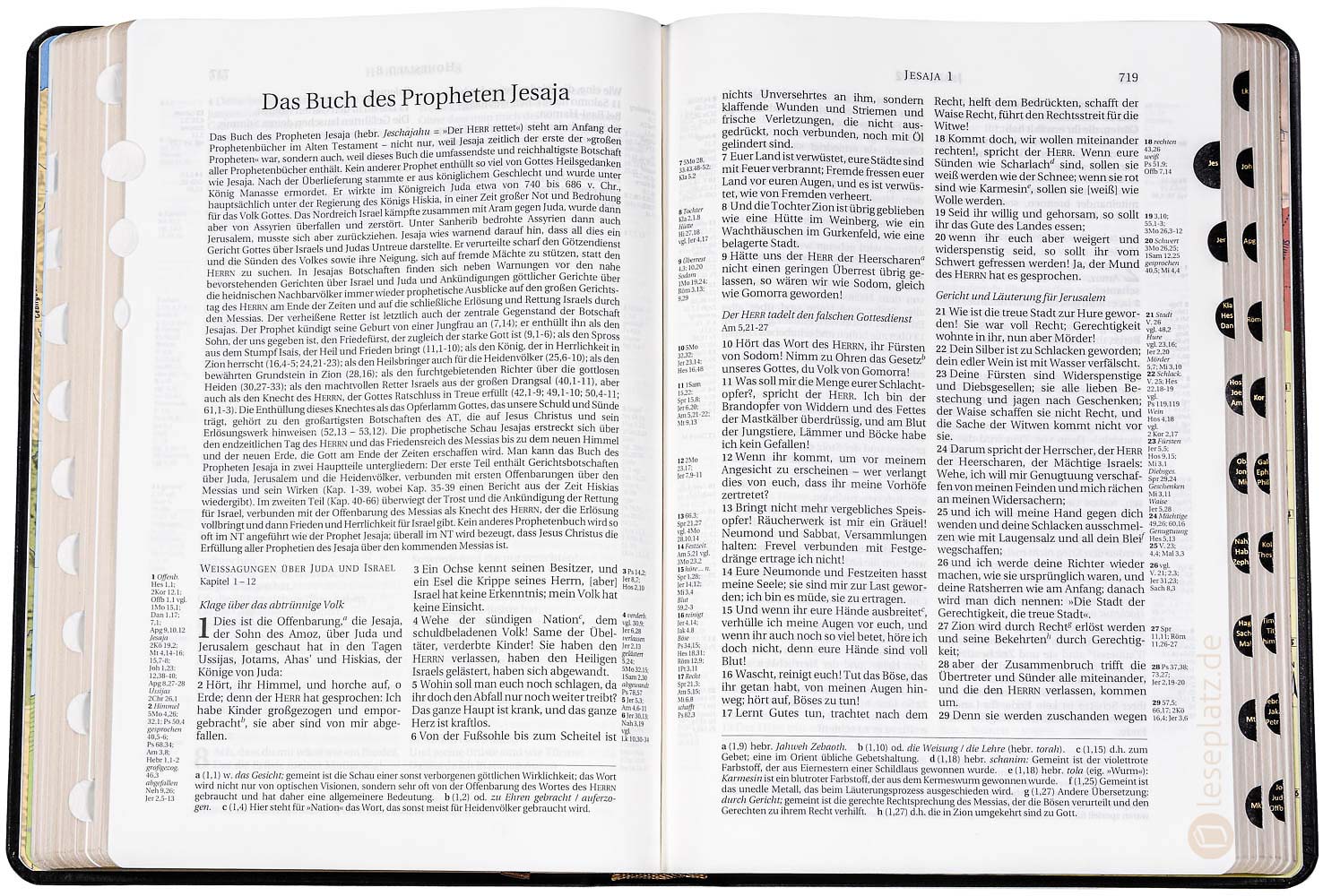 Schlachter 2000 Standardausgabe - Kalbsleder / Goldschnitt / Griffregister