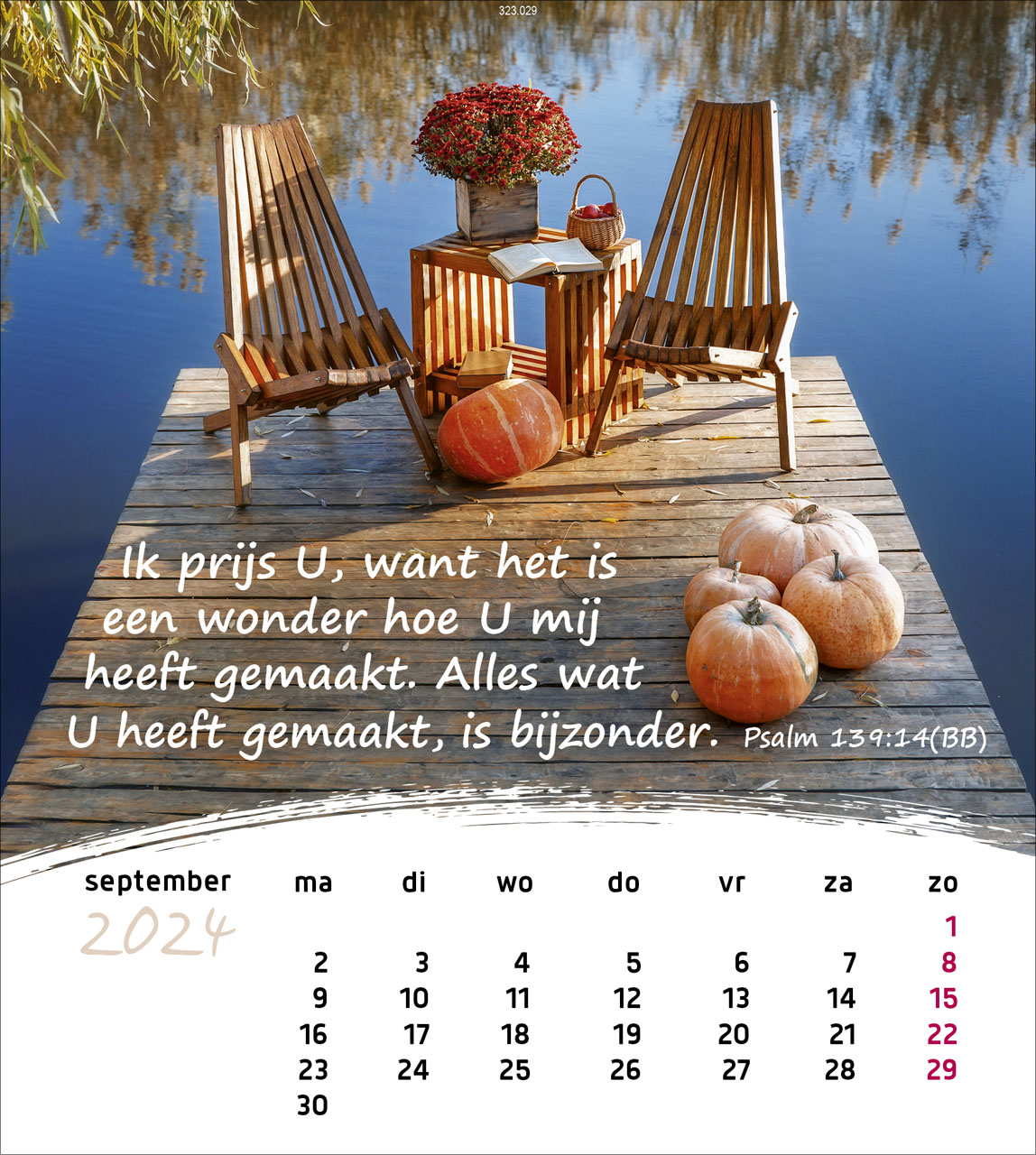 Leben für Dich 2024 - Postkartenkalender Leben für Dich 2024 - Postkartenkalender
