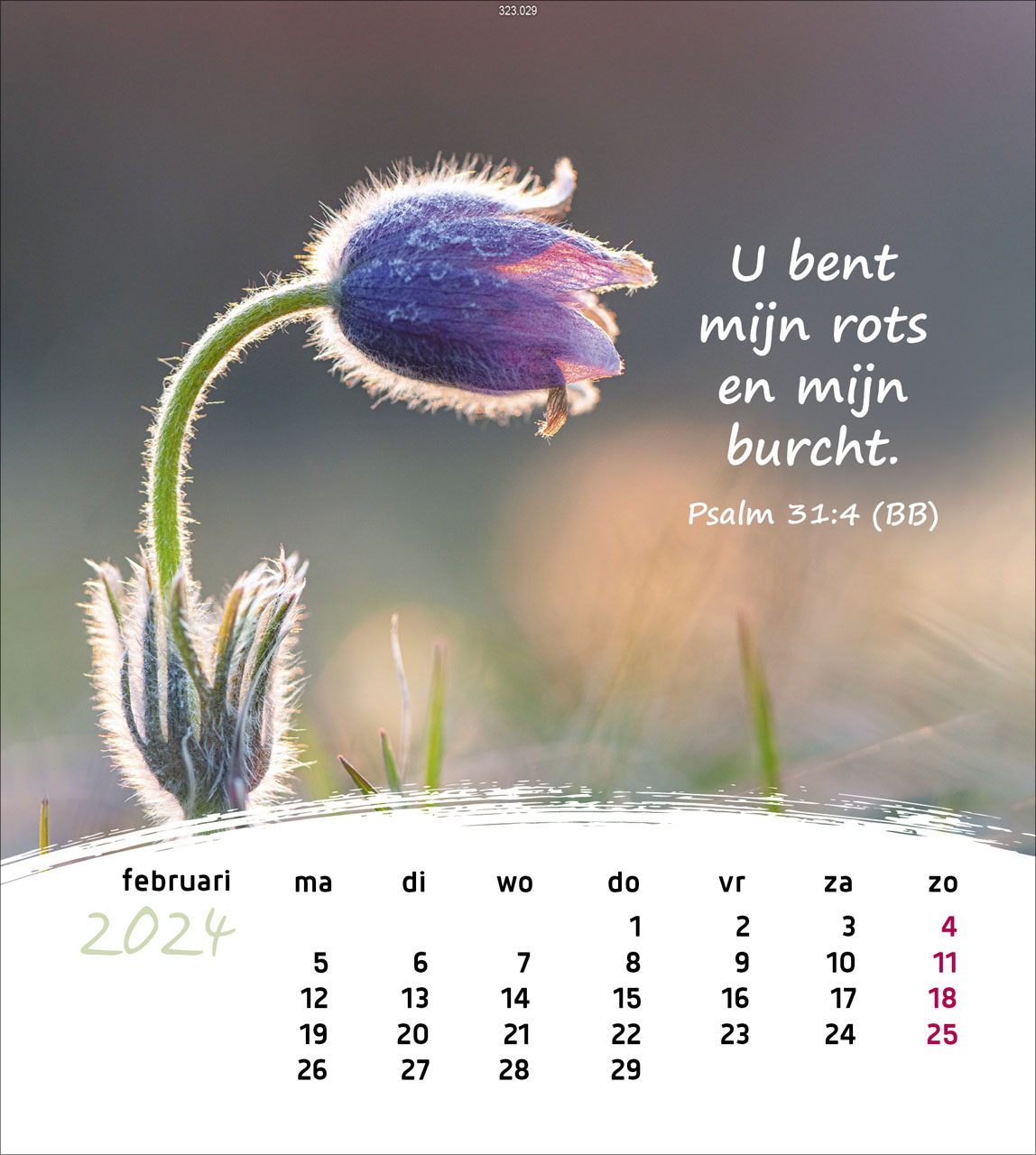 Leben für Dich 2024 - Postkartenkalender Leben für Dich 2024 - Postkartenkalender