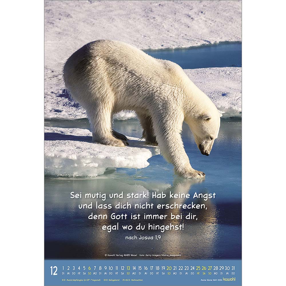 Meine kleine Welt 2026 - Wandkalender