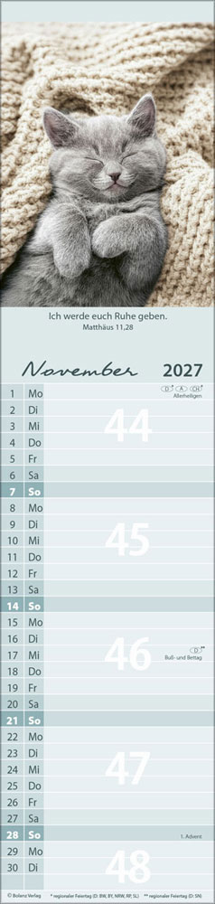 Für Euch 2027 - Streifenterminer