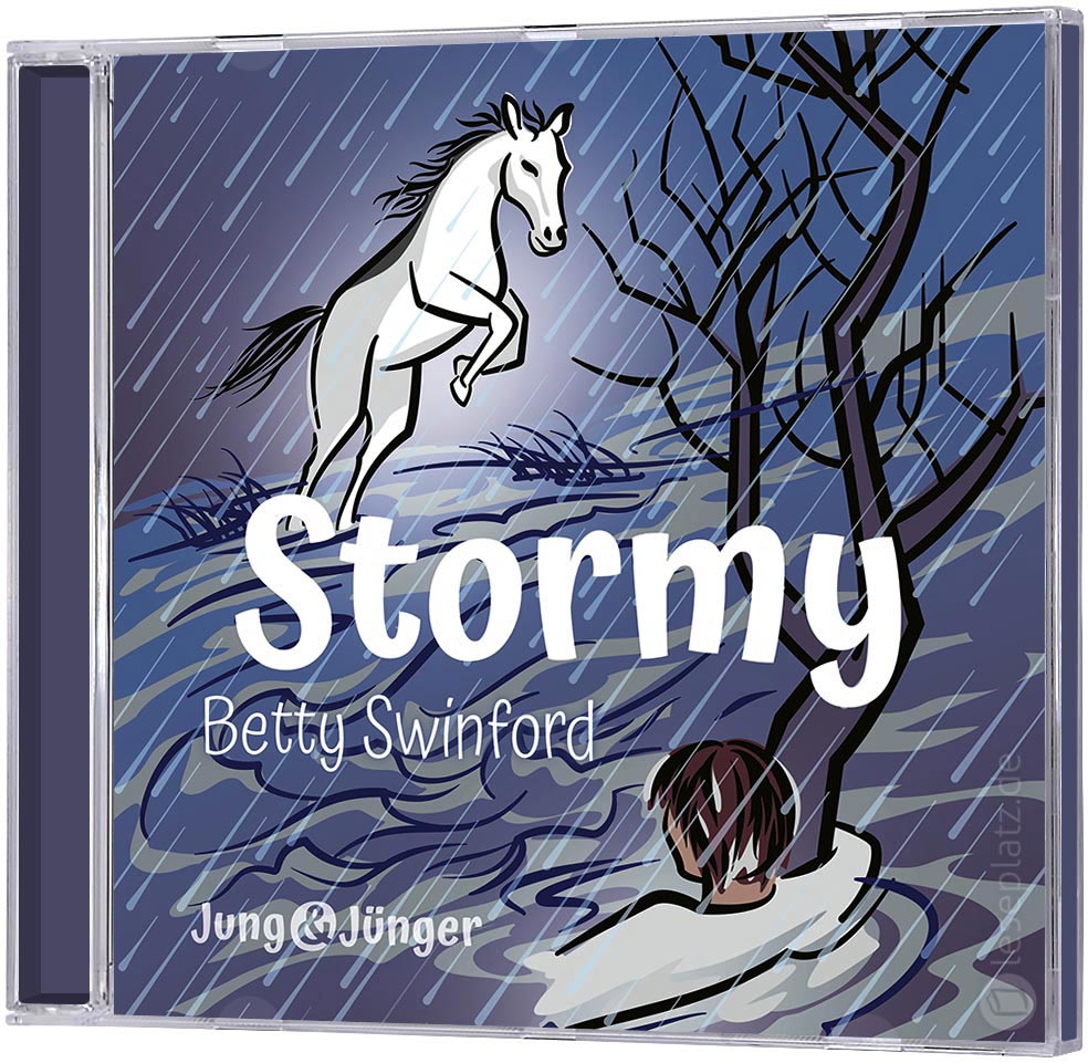Stormy - Hörbuch