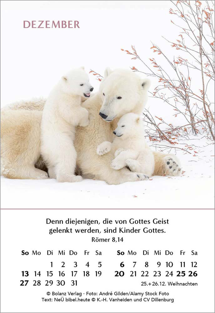 Ein Jahr der Geborgenheit 2026