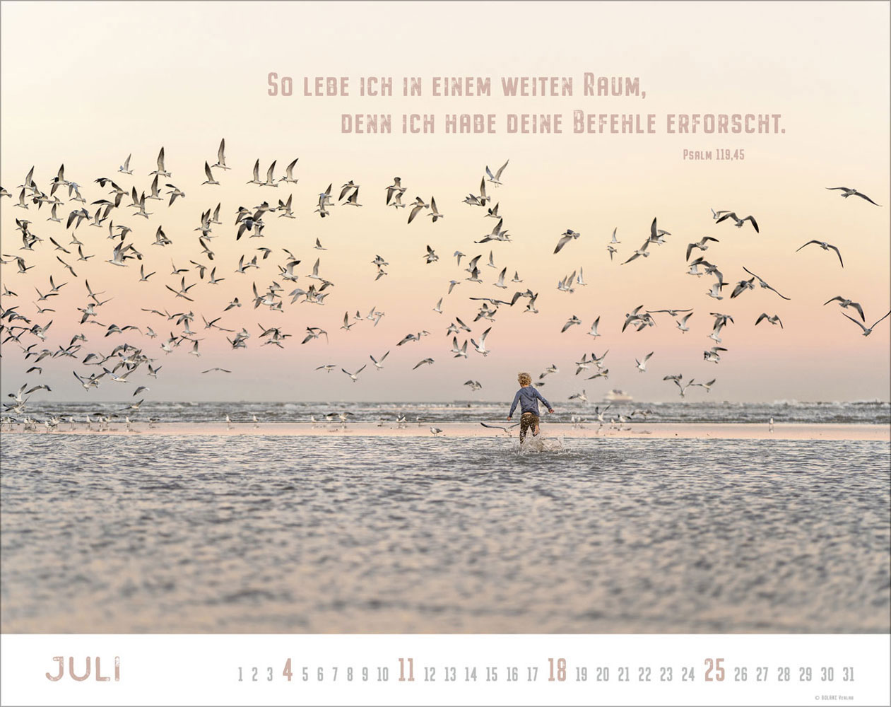 Freiheit 2027 - Wandkalender