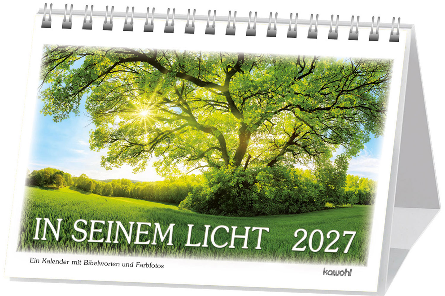 In seinem Licht 2027