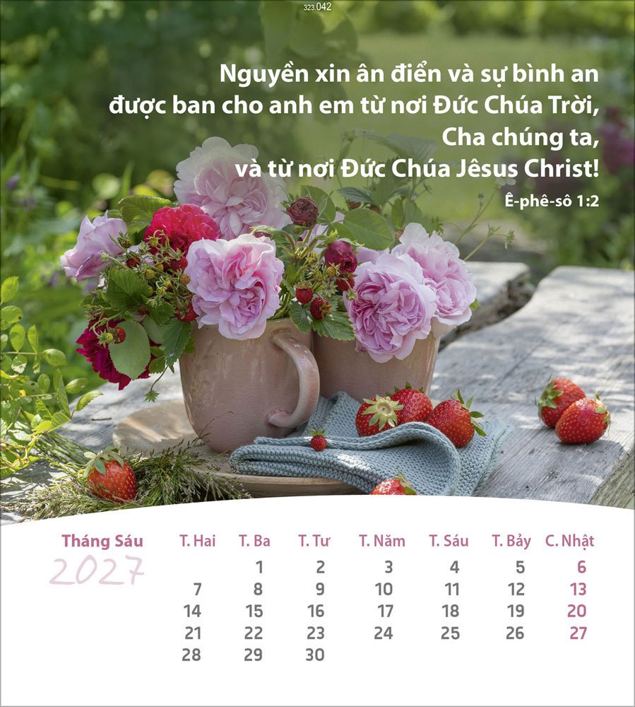 Leben für Dich 2027 - Verteilkalender (Vietnamesisch)
