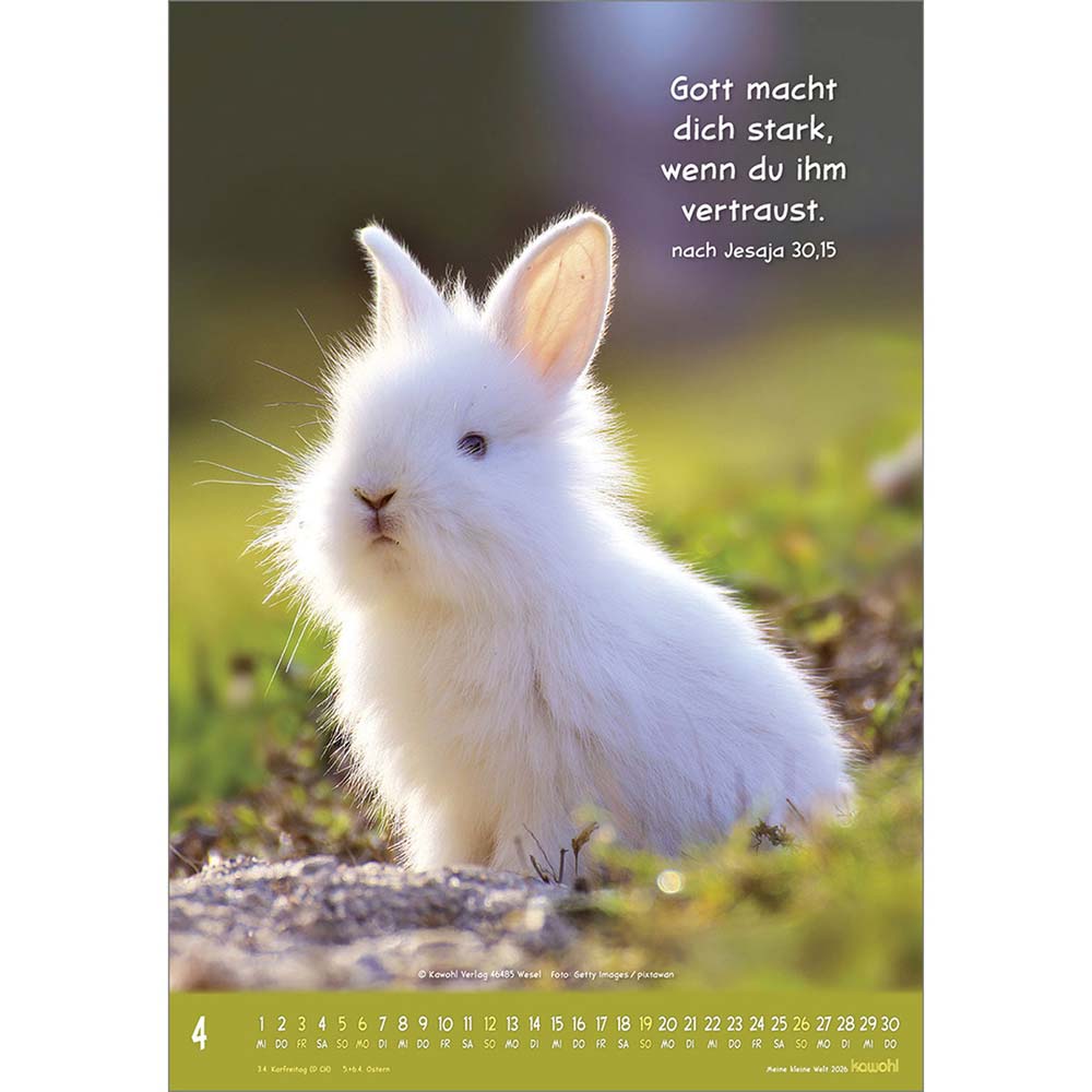 Meine kleine Welt 2026 - Wandkalender