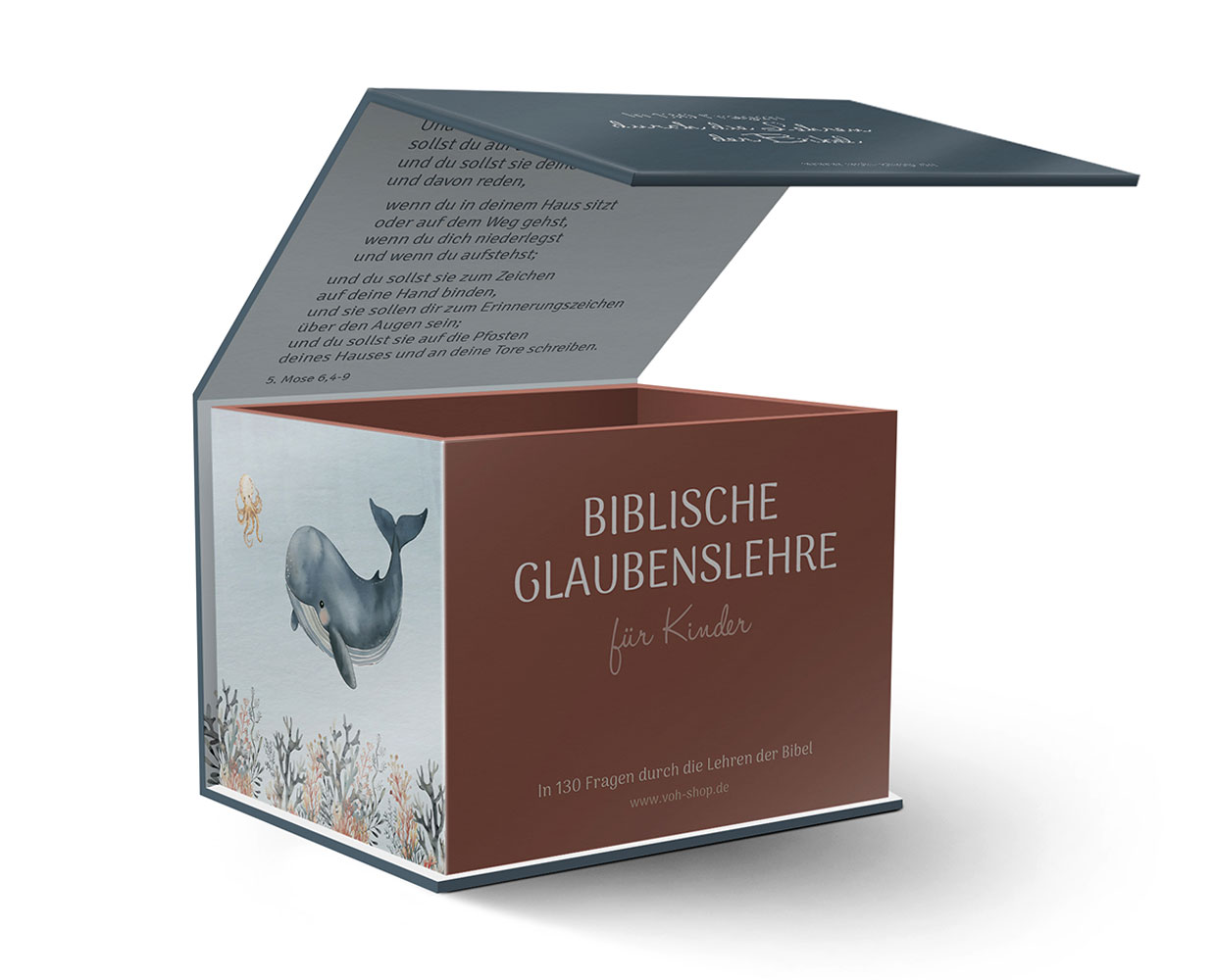 Biblische Glaubenslehre für Kinder - Kartenbox