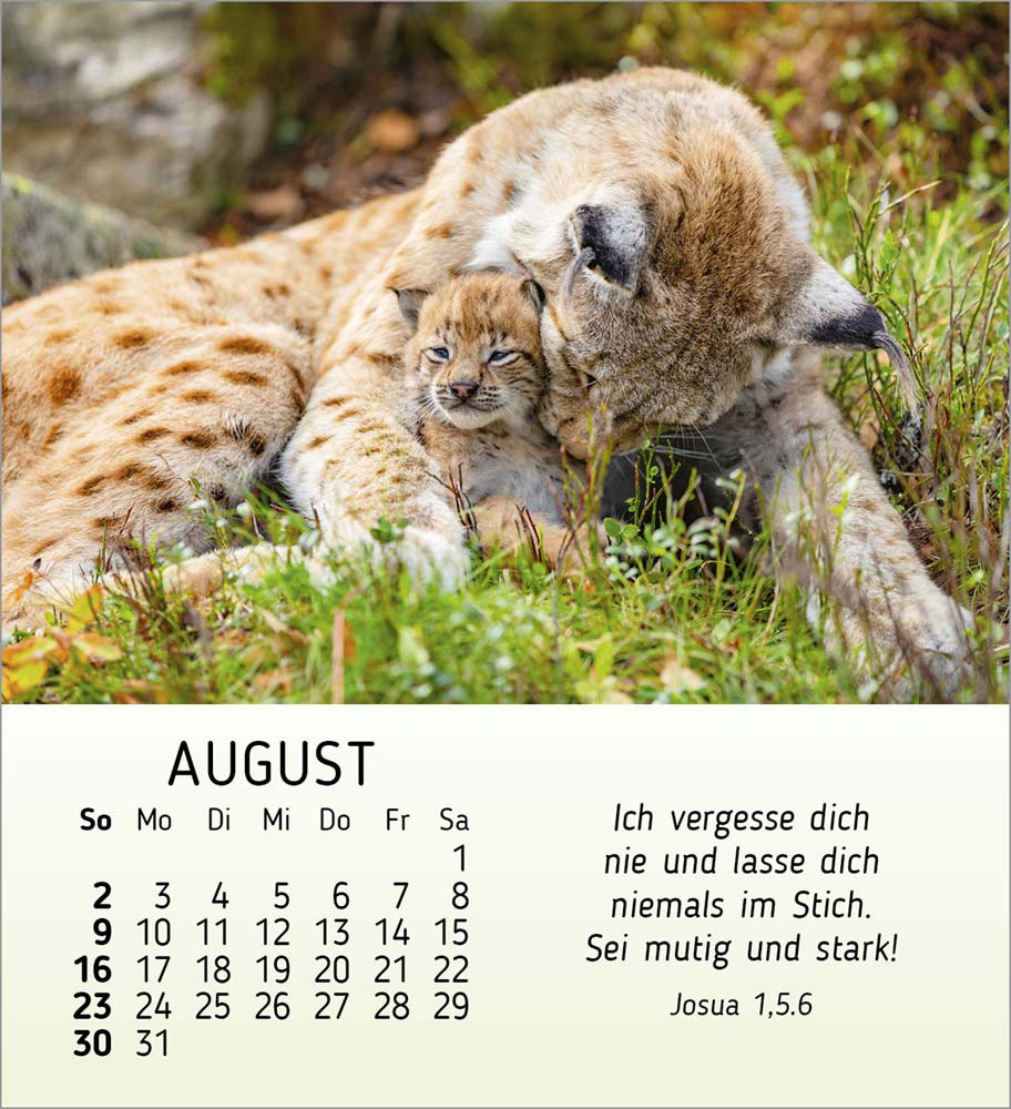 Meine kleinen Freunde 2026
