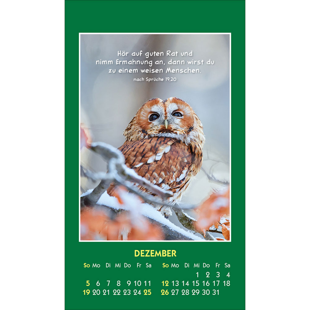 Hallo Du 2027 - Aufkleber-Kalender